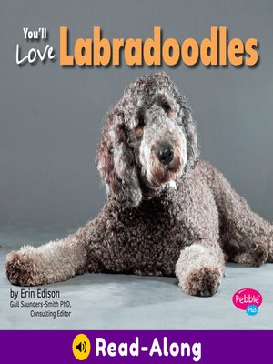 cover image of You'll Love Labradoodles